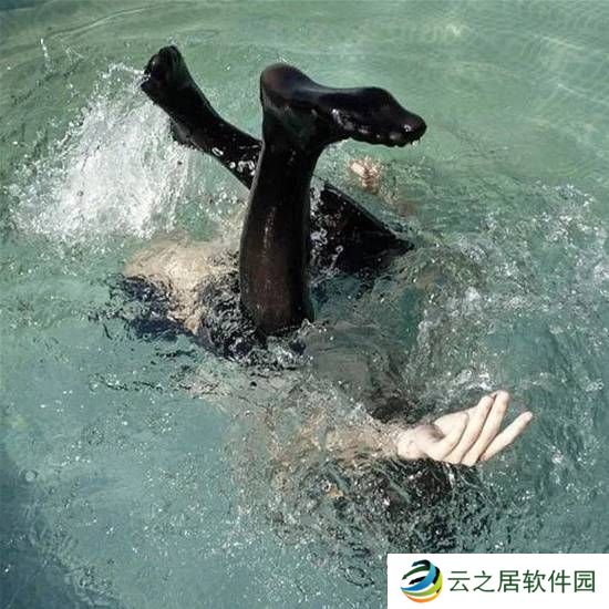 本站