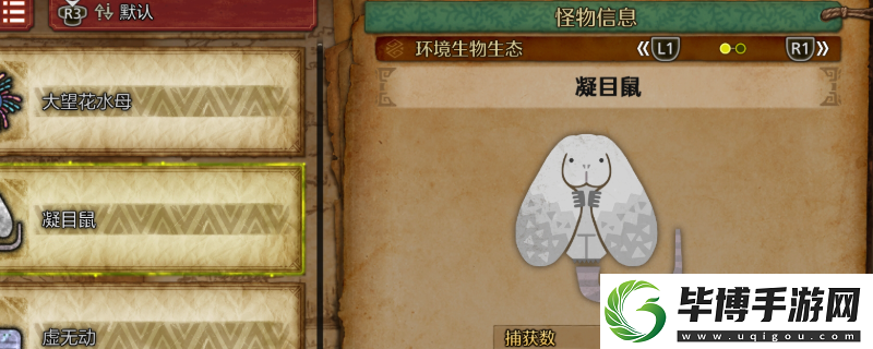 怪物猎人
