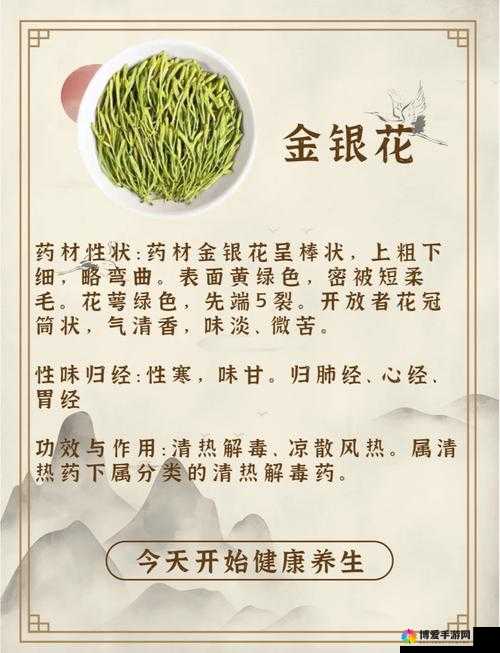 通水管 TXL 金银花：独特草药的神奇功效与故事