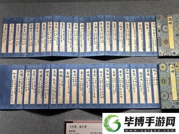 巴西**多读书还能减刑！这些神奇冷知识你知道吗