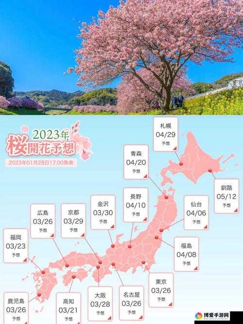 樱花官方正版官网入口 2023：开启全新精彩世界