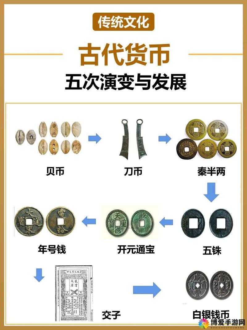 探索贝的奇妙世界，从古代货币的历史演变到大海贼时代中的神秘力量