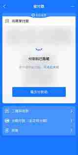 开启付款码保护是什么意思 