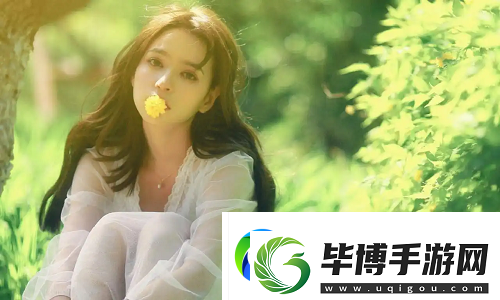 免费站在线观看人数在哪电视剧：揭秘如何选择最流畅的在线观看平台 
