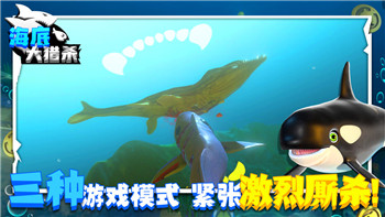 重生细胞存档手机编辑全攻略：快速上手教程与技巧分享