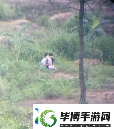 野外被的最深的一天：在自然的怀抱中重生 