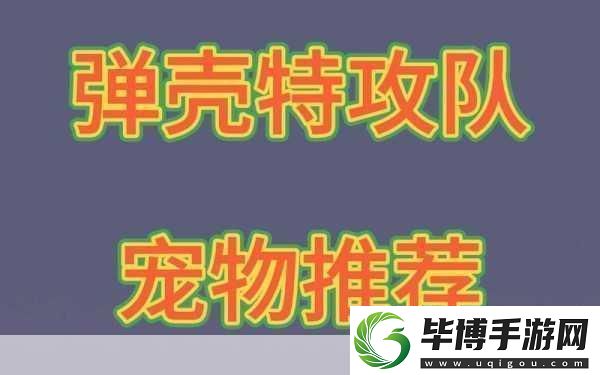 弹壳特攻队宠物获取全攻略