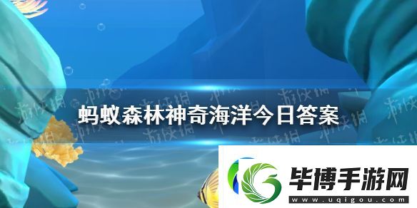 气泡珊瑚通常在什么时间呈现出鼓起来的状态-神奇海洋1月21日答案 