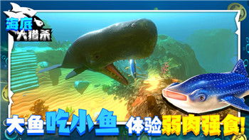 《梦幻西游》175级神木林装备选择攻略