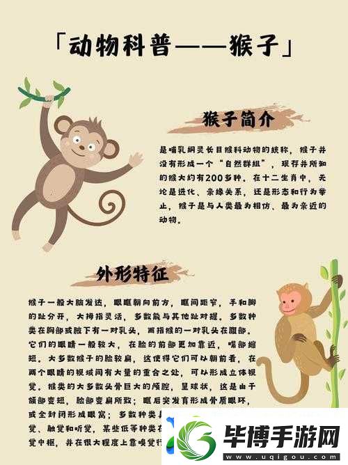 根据两人扑克牌游戏-探讨生猴子背后的文化现象与社会影响 