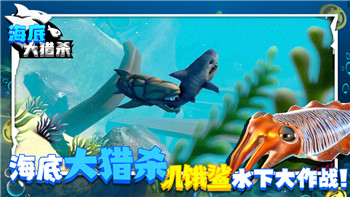 《炉石传说》新卡解析：祈请吞噬者的强大机制与实战攻略